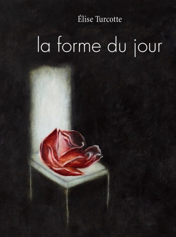 Élise TURCOTTE, la forme du jour, Editions Le Noroit, 2016, 20,20 € ;