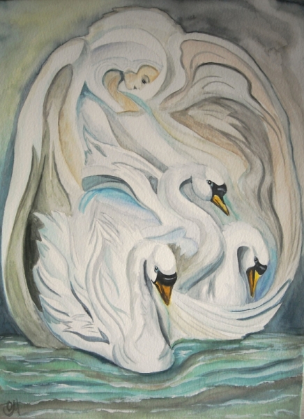 Cygne.jpg