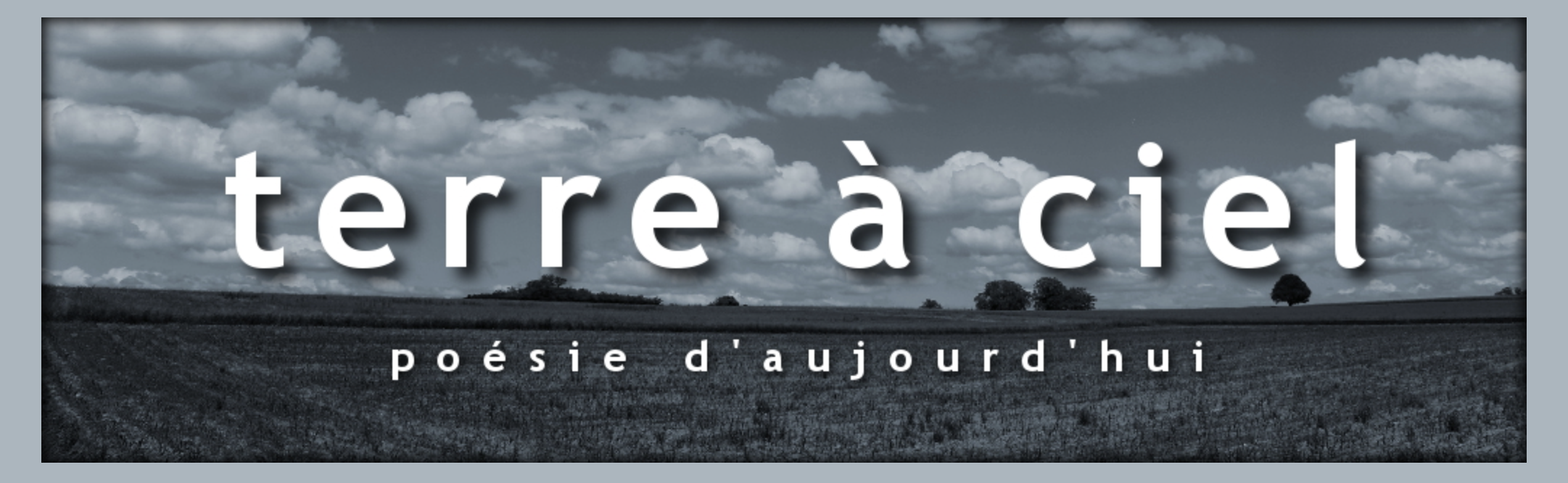 Lettres à l’œuvre Pratiques lettristes dans la poésie en français (de  l’extrême contemporain au Moyen Âge)