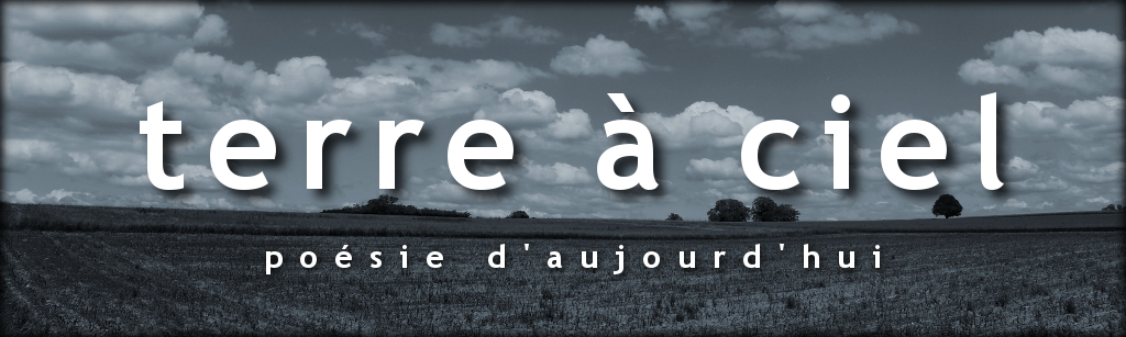 Terre à ciel